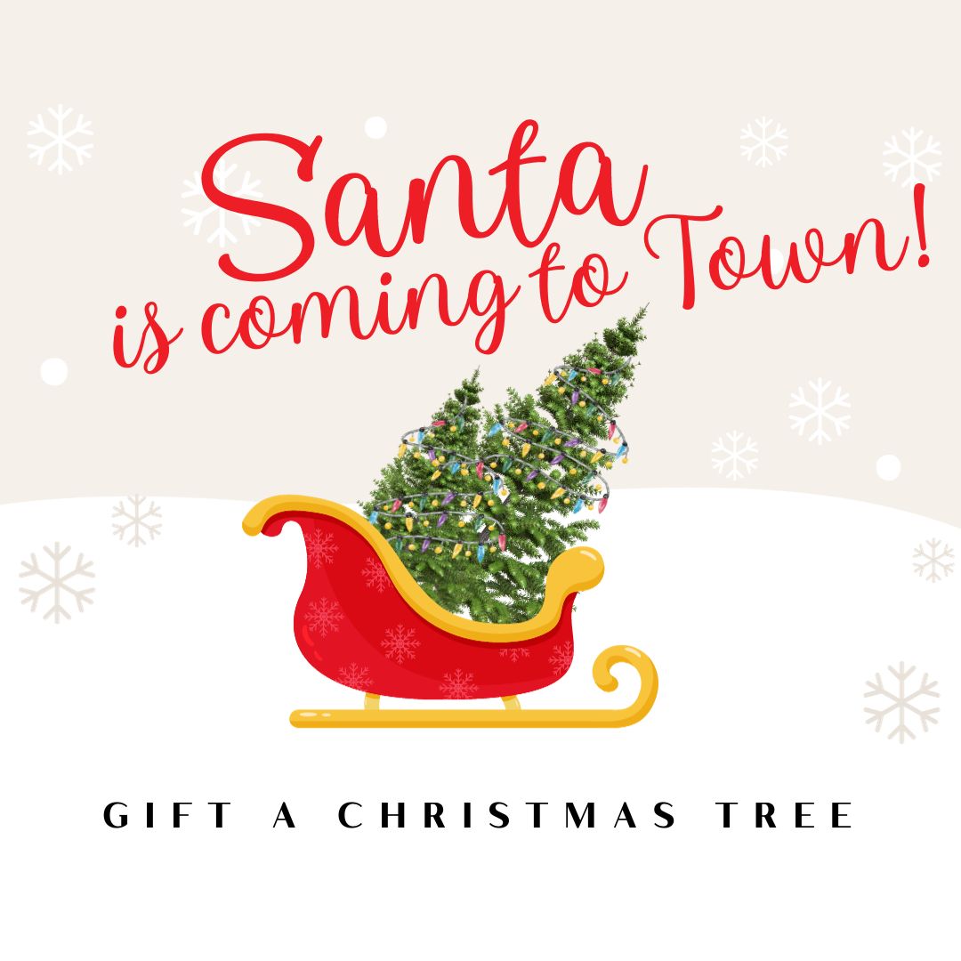 This Holiday Season Gift a Christmas Tree! Cochrane Toyota