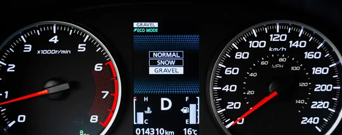 Designed for Scarborough Life