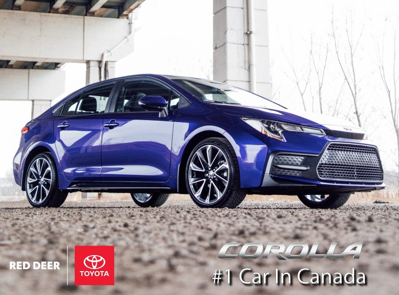 A Year In Review At Red Deer Toyota Red Deer Toyota A Year In Review At Red Deer Toyota Red Deer Toyota