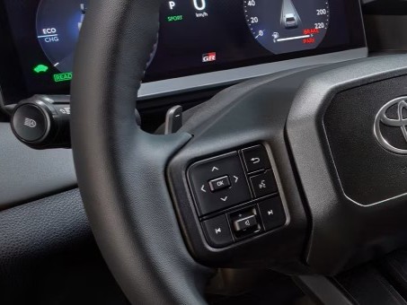 Paddle Shifters