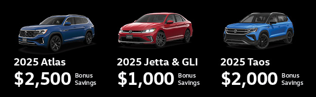 Black Friday Sales Event 2025