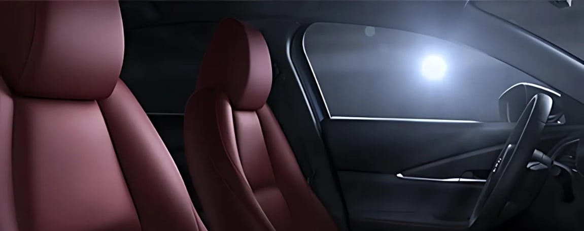 Comfort and Connectivity Inside