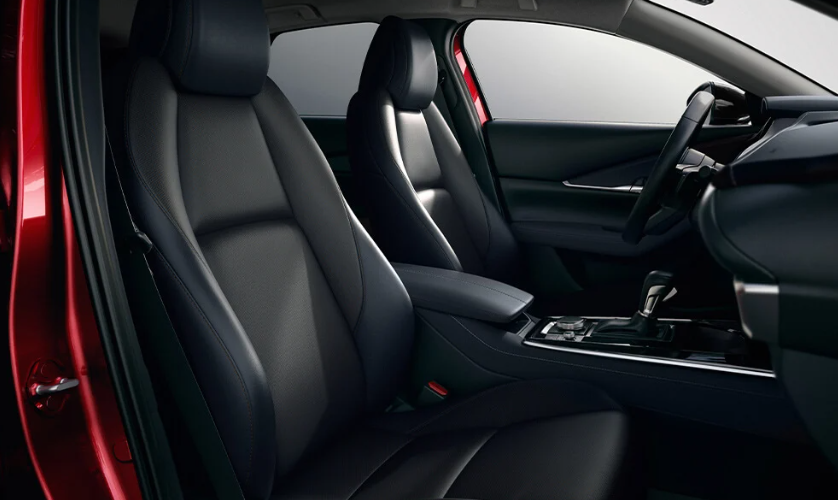 Comfortable Cabin and Practical Cargo