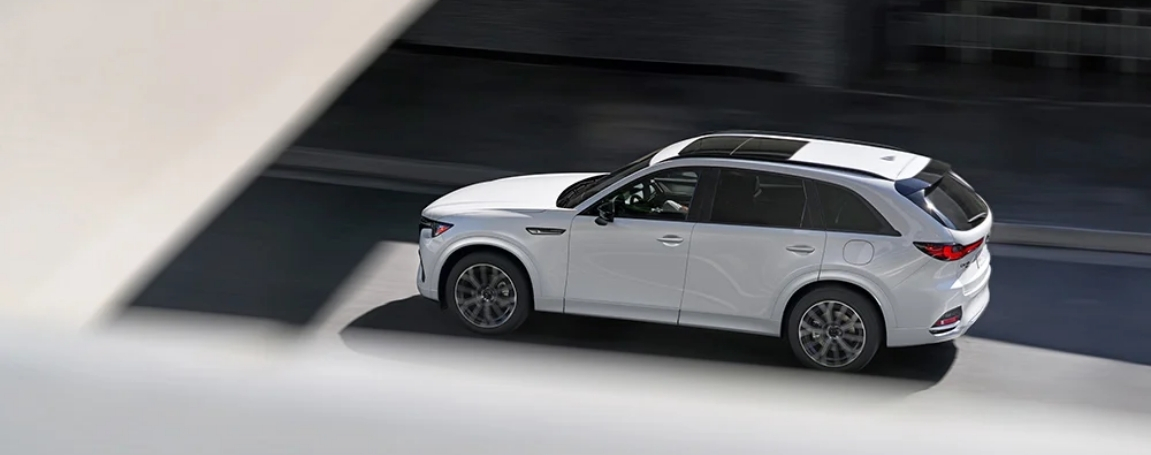 Performance and Plug-In Hybrid Capability