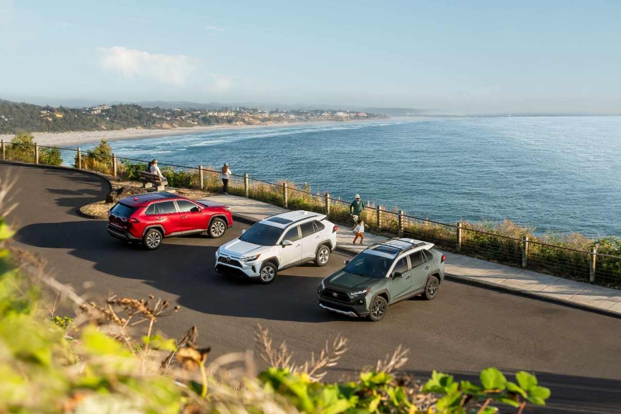 Three RAV4 sports utility vehicles in red, white and grey are parked on a sunny beach lookout.