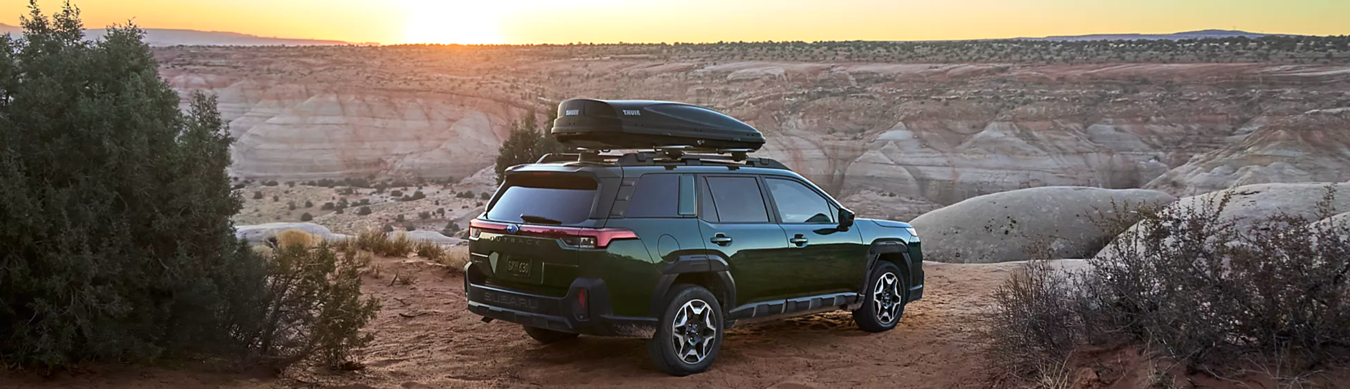 2026 Outback Header