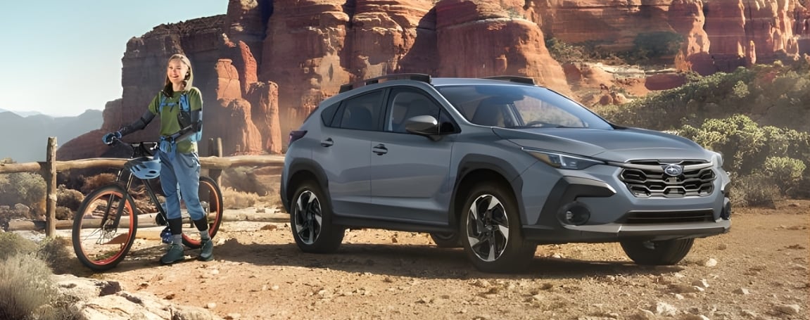 Bold Looks with Practical Purpose