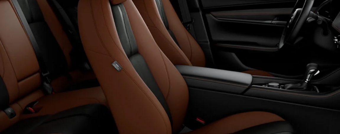 Comfort That Moves With You