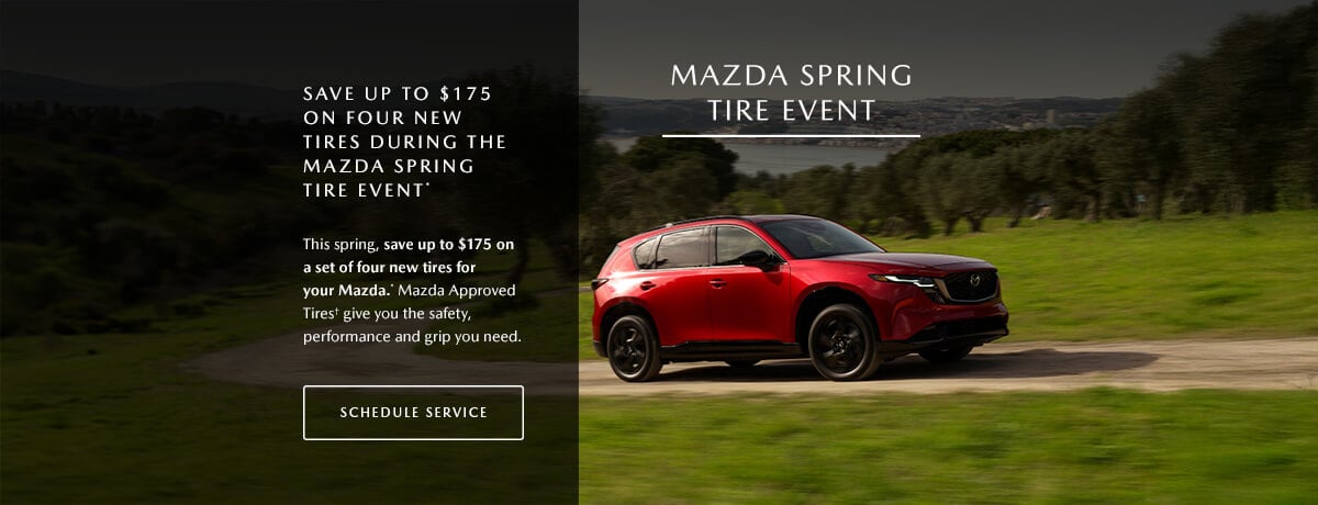 hero with content - Tablet